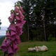 Image for article titled Shooting Challenge: Cellphone Gallery Part 9